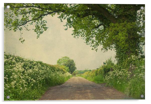 Kent Countrylane Acrylic by Dawn Cox