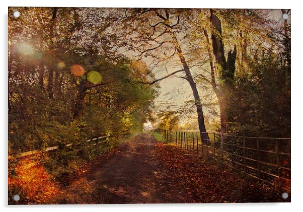  Autumn Leaves Acrylic by Dawn Cox