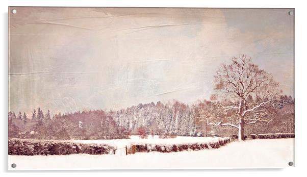  Winter Walk Acrylic by Dawn Cox