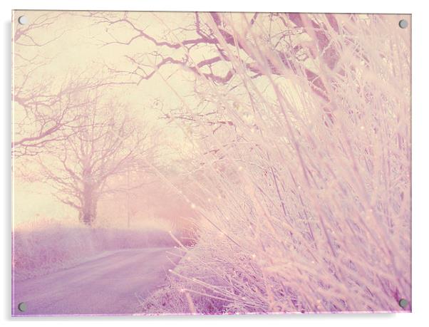  Frosty Hedgerow Acrylic by Dawn Cox
