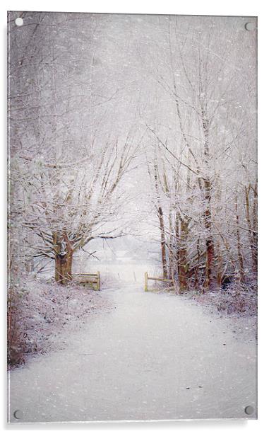Winter wonderland  Acrylic by Dawn Cox