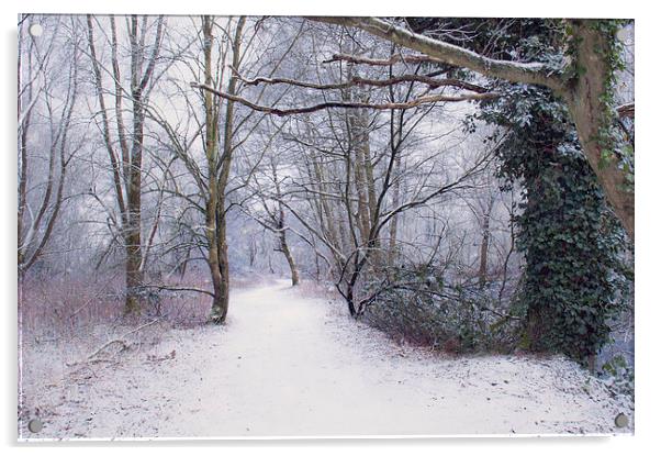  Winter walk Acrylic by Dawn Cox