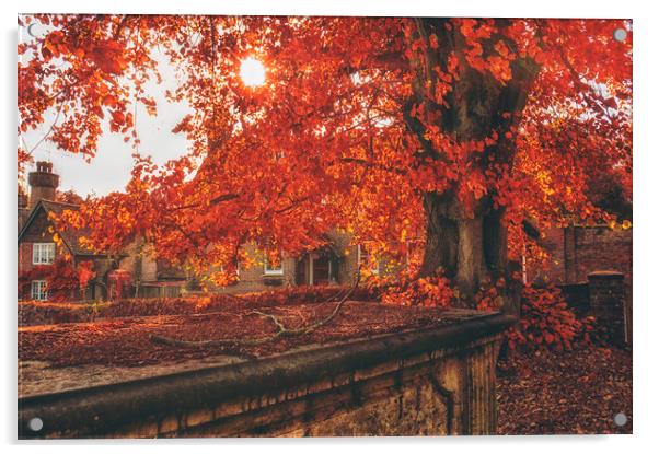 Autumn Colours Acrylic by Dawn Cox