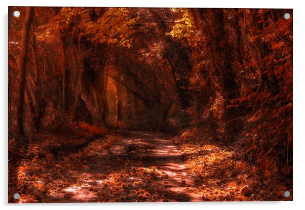 Autumns End Acrylic by Dawn Cox