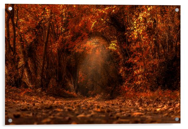 Autumns Fall Acrylic by Dawn Cox