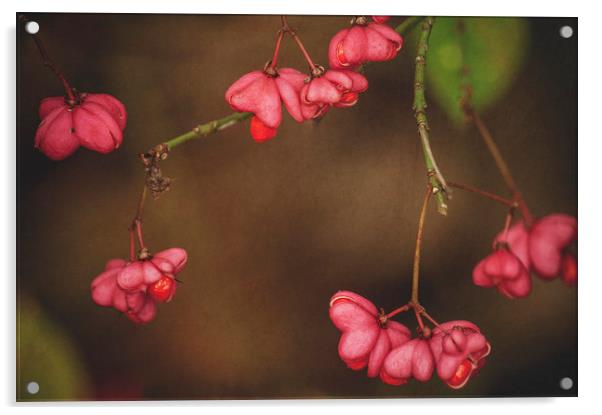 Pink Spindle Acrylic by Dawn Cox