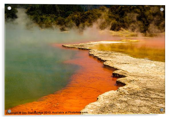 The Champagne Pool at Rotorua, New Zealand. Acrylic by Izzy Standbridge