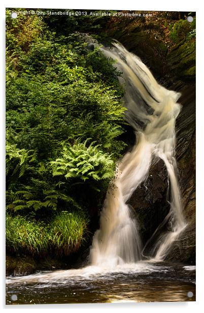 Falls and ferns Acrylic by Izzy Standbridge