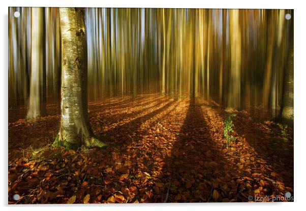 Autumn beech blur Acrylic by Izzy Standbridge