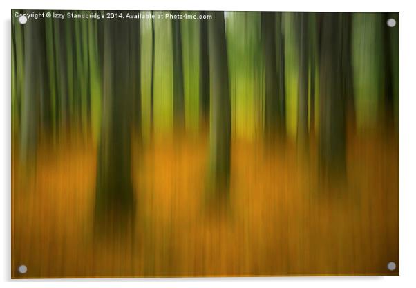  Autumn woodland abstract Acrylic by Izzy Standbridge