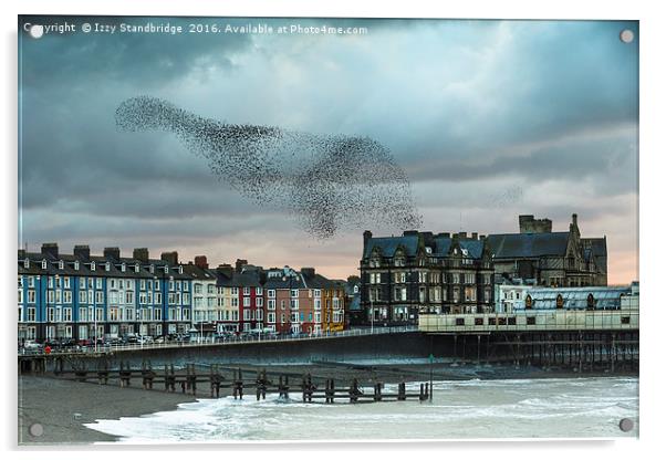 Starling cloud over Aberystwyth Acrylic by Izzy Standbridge