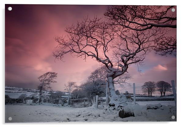 Snow dawn Acrylic by Izzy Standbridge