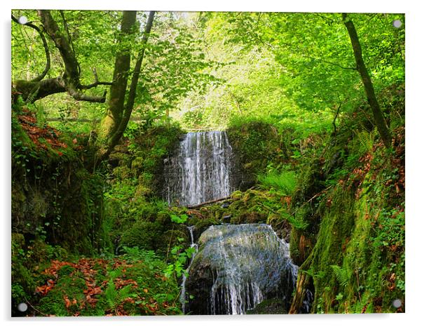 canonteign falls Acrylic by ray orchard