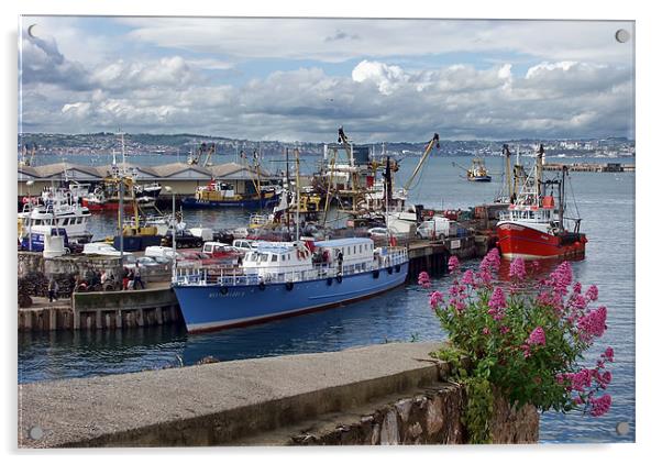 Brixham Harbour Acrylic by Tony Bates