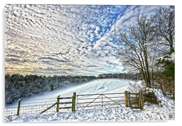 Snowy landscape Acrylic by Tony Bates