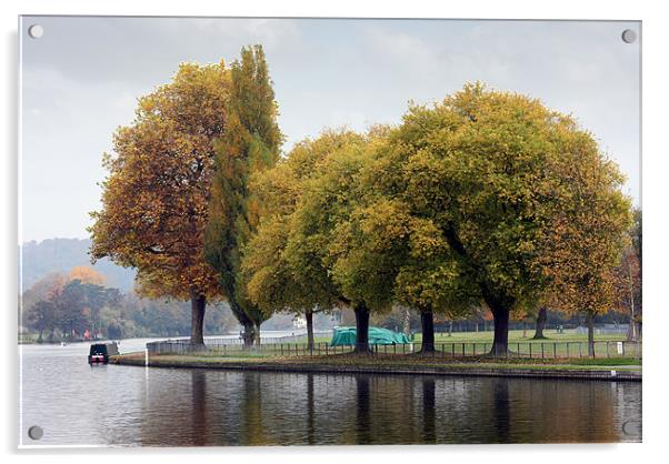 Thames at Henley Acrylic by Tony Bates