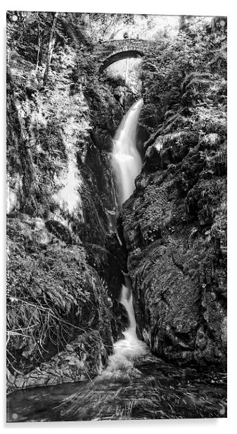 Aira Force Waterfall Acrylic by Tony Bates