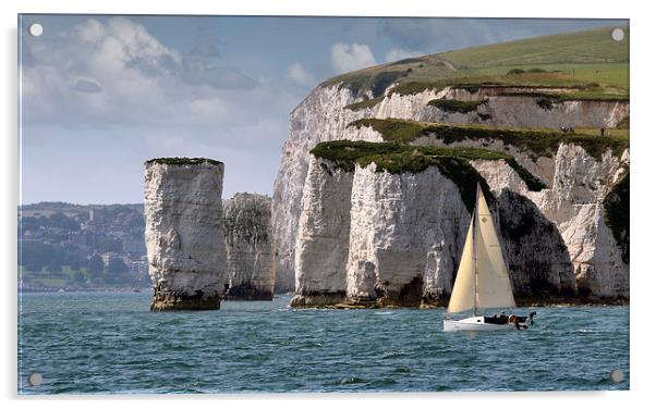 Old Harry Rocks Acrylic by Tony Bates