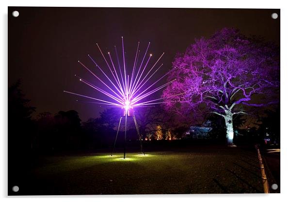  Kew Christmas Lights Acrylic by Tony Bates