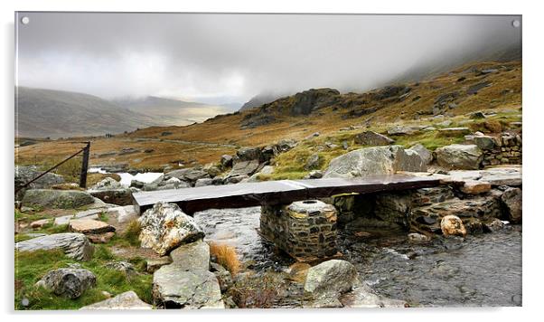  Footpath to the Devils Kitchen north Wales Acrylic by Tony Bates