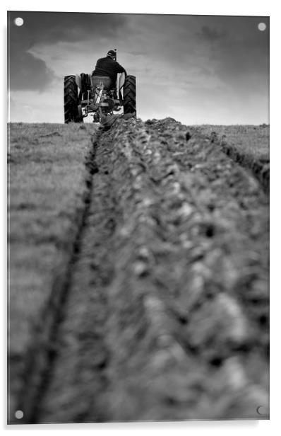 Ploughing match Acrylic by Tony Bates