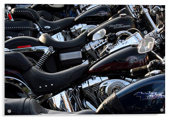 Harley Davidson Motorcyles Acrylic by Tony Bates