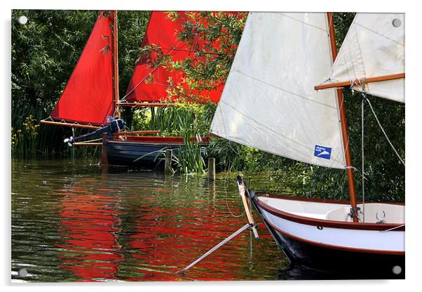 Sail Boats Acrylic by Tony Bates