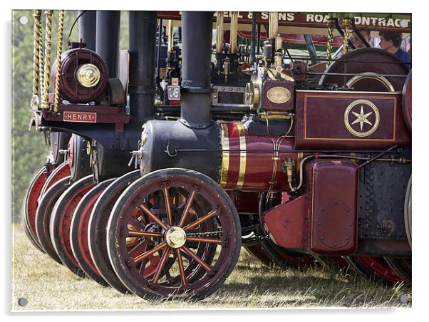Steam traction engine line up Acrylic by Tony Bates