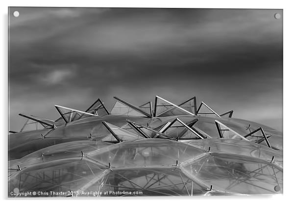 Eden Project Roof 2 Black and White Acrylic by Chris Thaxter