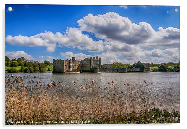 Leeds Castle Moat Acrylic by Chris Thaxter