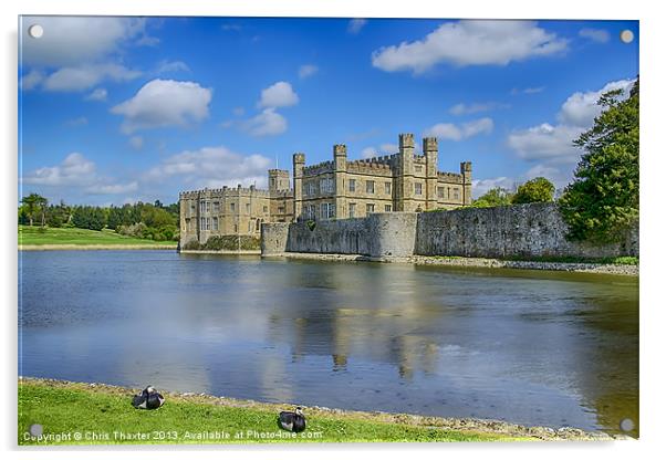 Leeds Castle Moat 2 Acrylic by Chris Thaxter