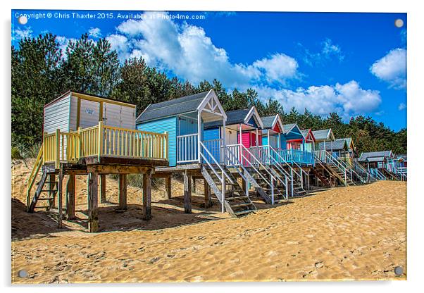  Coloured Beach Huts 3 Acrylic by Chris Thaxter