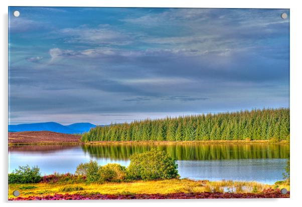 Loch Kinardochy Acrylic by Chris Thaxter