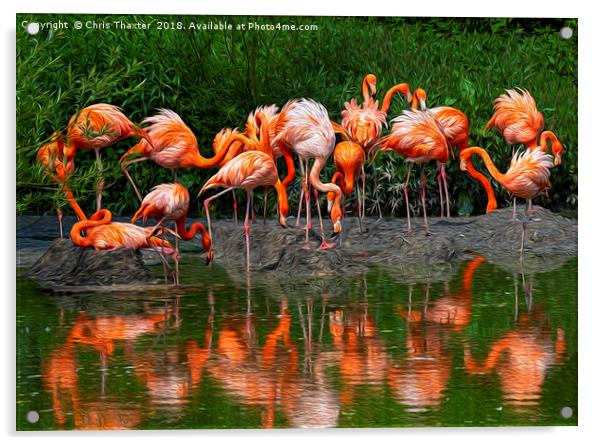 A Flamboyance of Flamingos Acrylic by Chris Thaxter