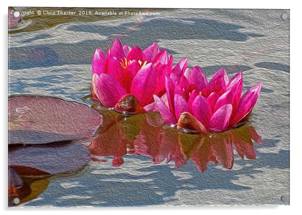 Enchanting Pink Water Lilies Acrylic by Chris Thaxter