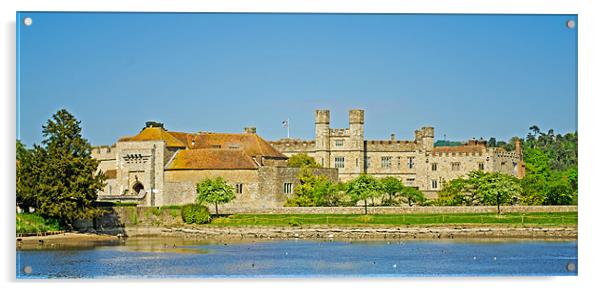 Leeds Castle Lake View Acrylic by Chris Thaxter