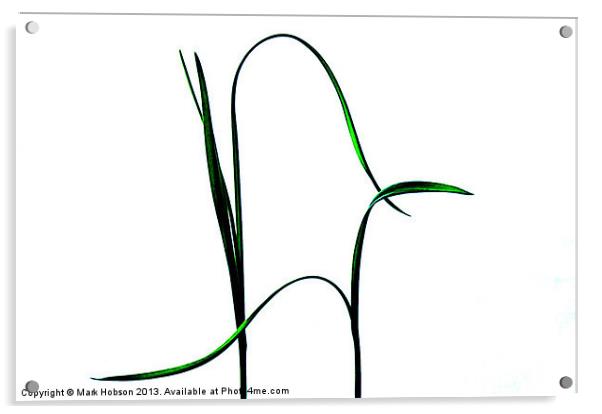 Garlic Absract Acrylic by Mark Hobson