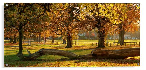Prospect Park Autumn colours Acrylic by Mark Hobson