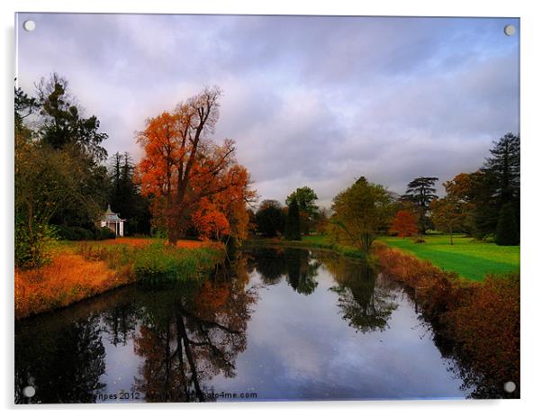 Autumn Reflections at Wrest Park Acrylic by Bel Menpes