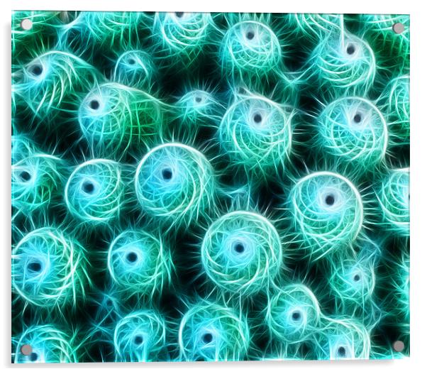 Cactus Swirl Acrylic by Bel Menpes