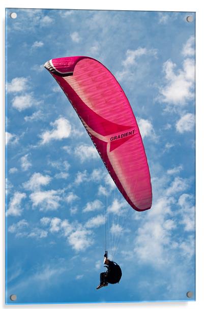 Red Canopy Paraglider Acrylic by Bel Menpes