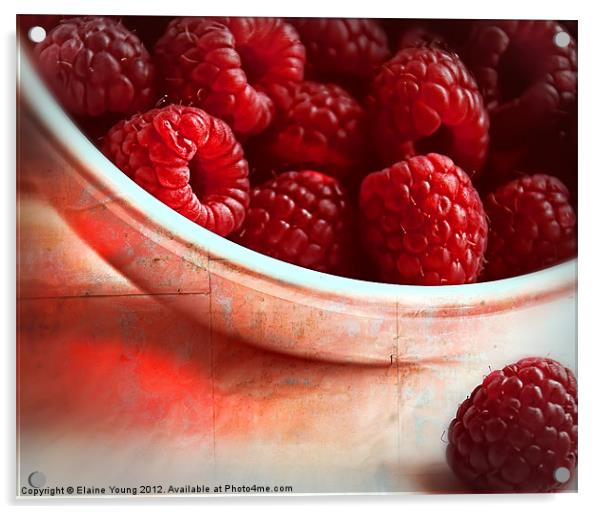 Raspberries Acrylic by Elaine Young