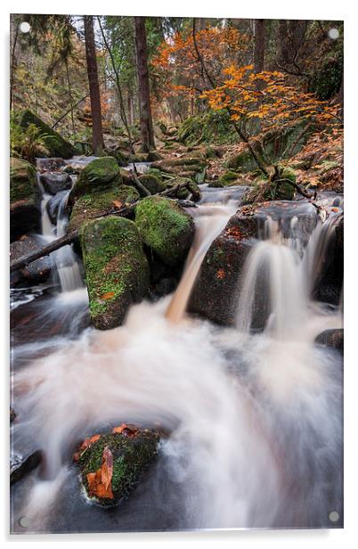  Wyming Brook Acrylic by James Grant