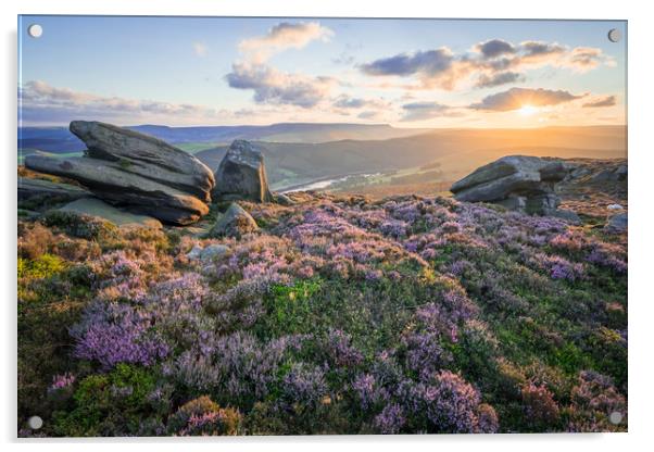 White Tor Heather Sunset Acrylic by James Grant