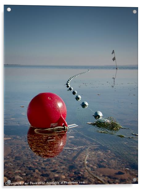 Oh buoy! Acrylic by Paul Davis