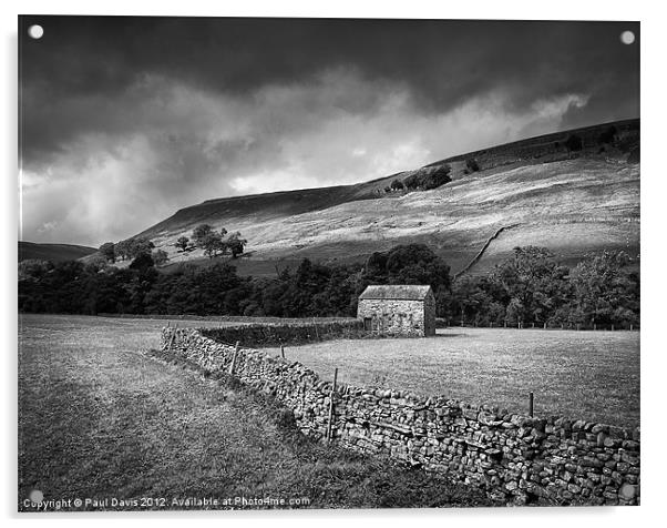 The Dales in mono Acrylic by Paul Davis