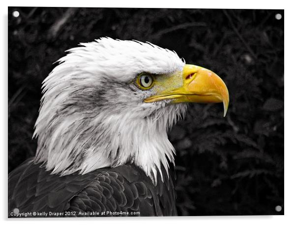 Liberty The Eagle Acrylic by kelly Draper