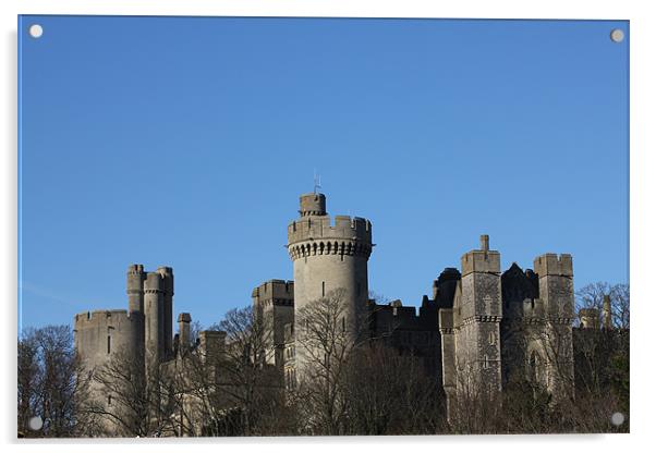 Arundel castle Acrylic by kelly Draper