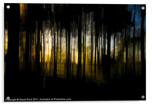 Tree Abstract (drop pan) Acrylic by Stuart Reid