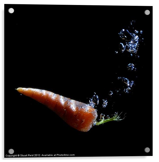 Carrot Juice Acrylic by Stuart Reid